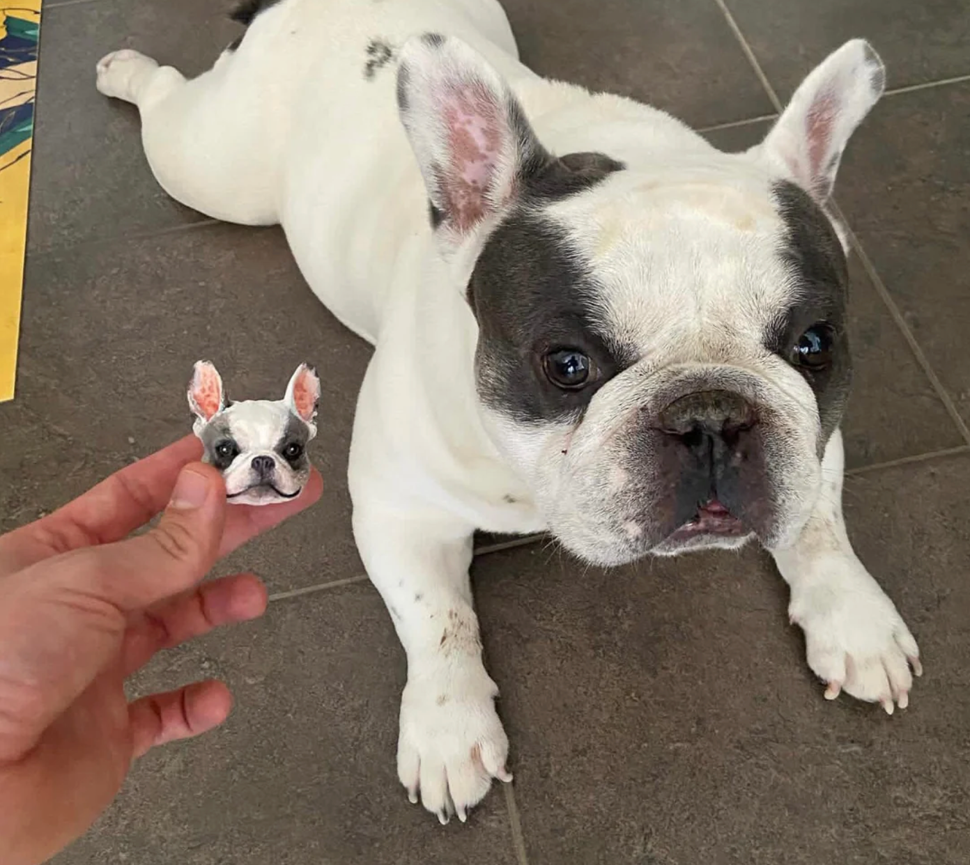 Custom 3D Pet Portrait Magnetic Figurine