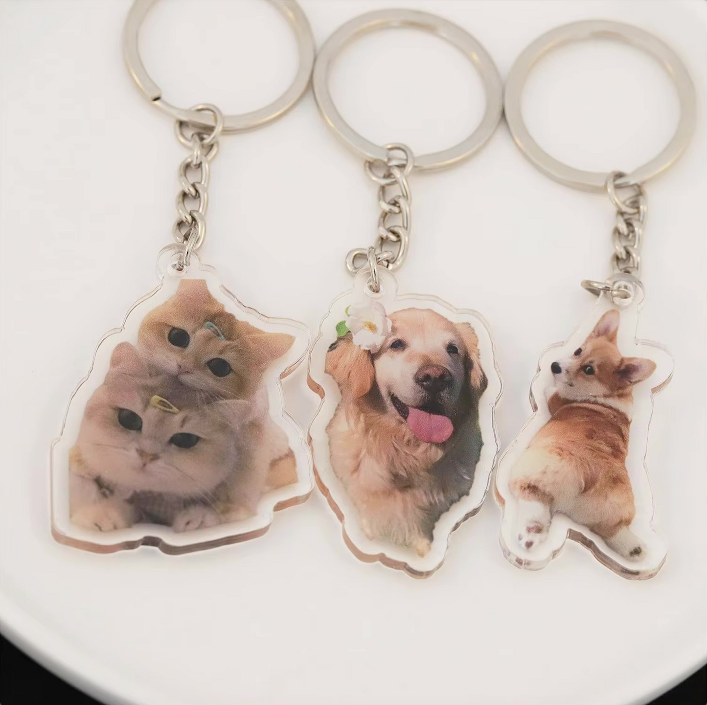 Acrylic Pet Photo Keychain