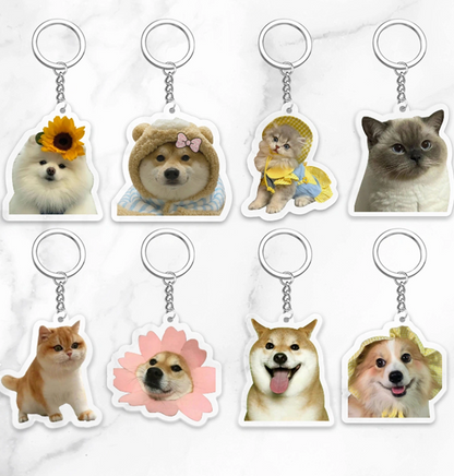 Acrylic Pet Photo Keychain